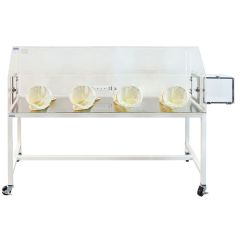 Laboratory Glove Box, Two Users, Clear Acrylic/Static Dissipative Acrylic