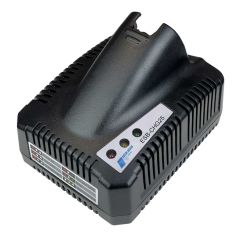 Delta Regis Tools ESB-CHG25 Battery Charger for ESB-7VL2500 Batteries