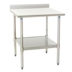 Eagle Worktable, 14 ga. 304 Stainless Steel, 4.5" Backsplash, Galvanized Shelf Base 24"x24" 